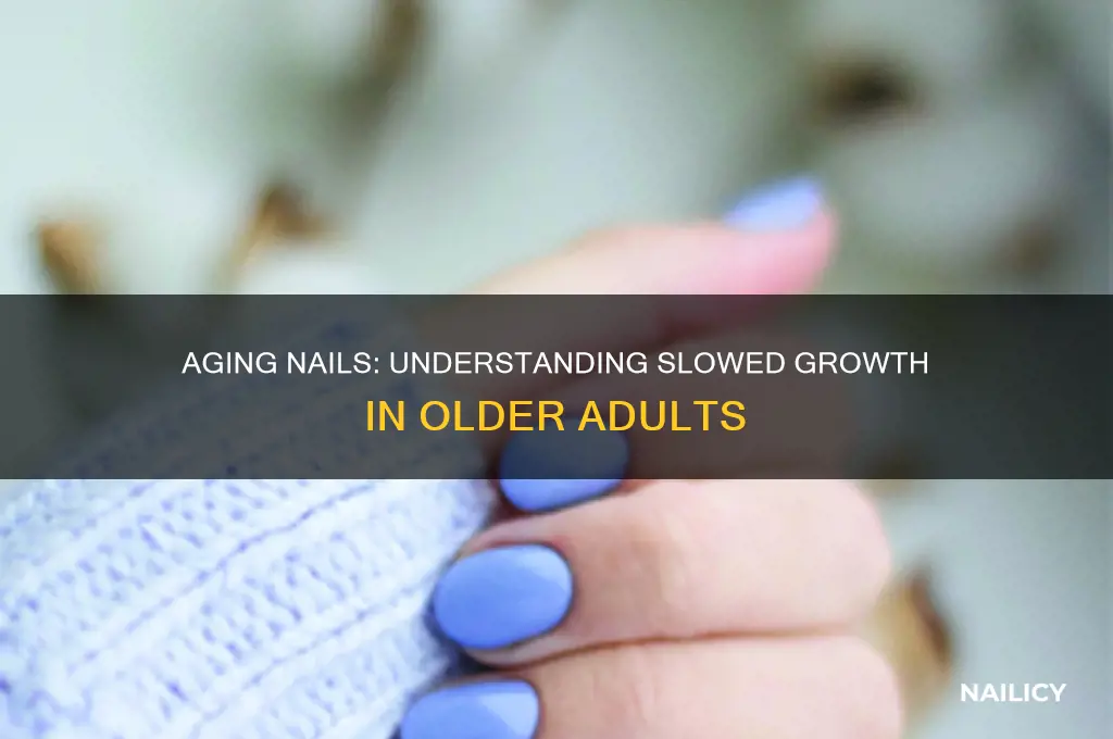 why do older adults have less nail growth