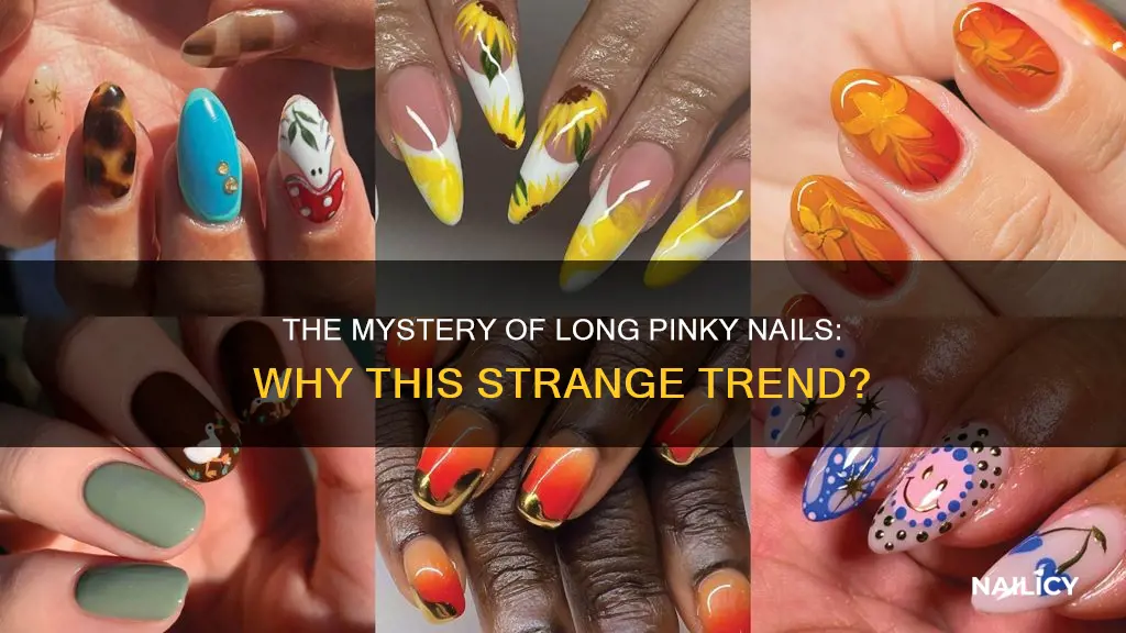 why do peaple keep pinky finger nails long