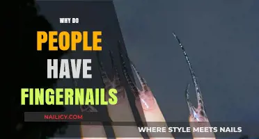 The Surprising Purpose and Evolution of Human Fingernails Explained