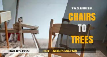 Chairs Nailed to Trees: Unraveling the Odd Tradition's Origins