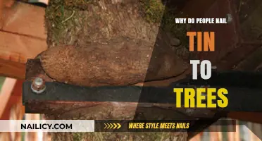 Why Do People Nail Tin to Trees? Uncovering the Tradition