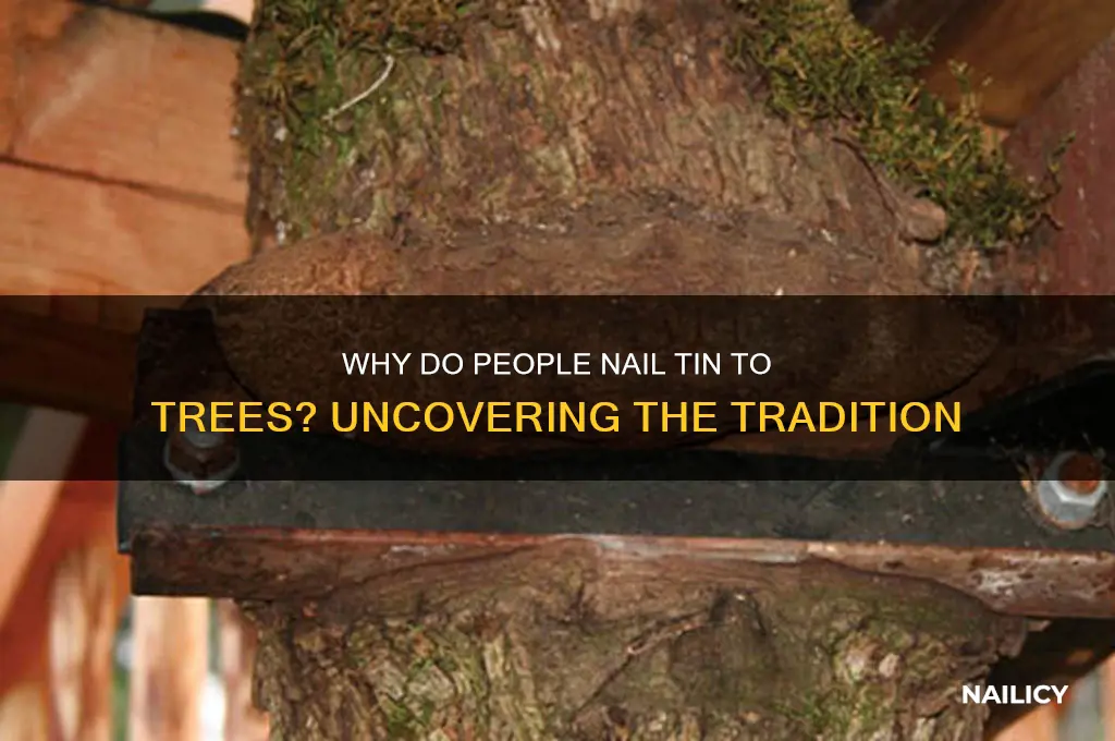 why do people nail tin to trees