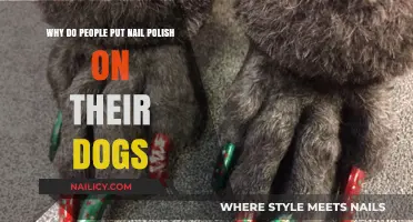Why Do Pet Owners Paint Their Dogs' Nails?