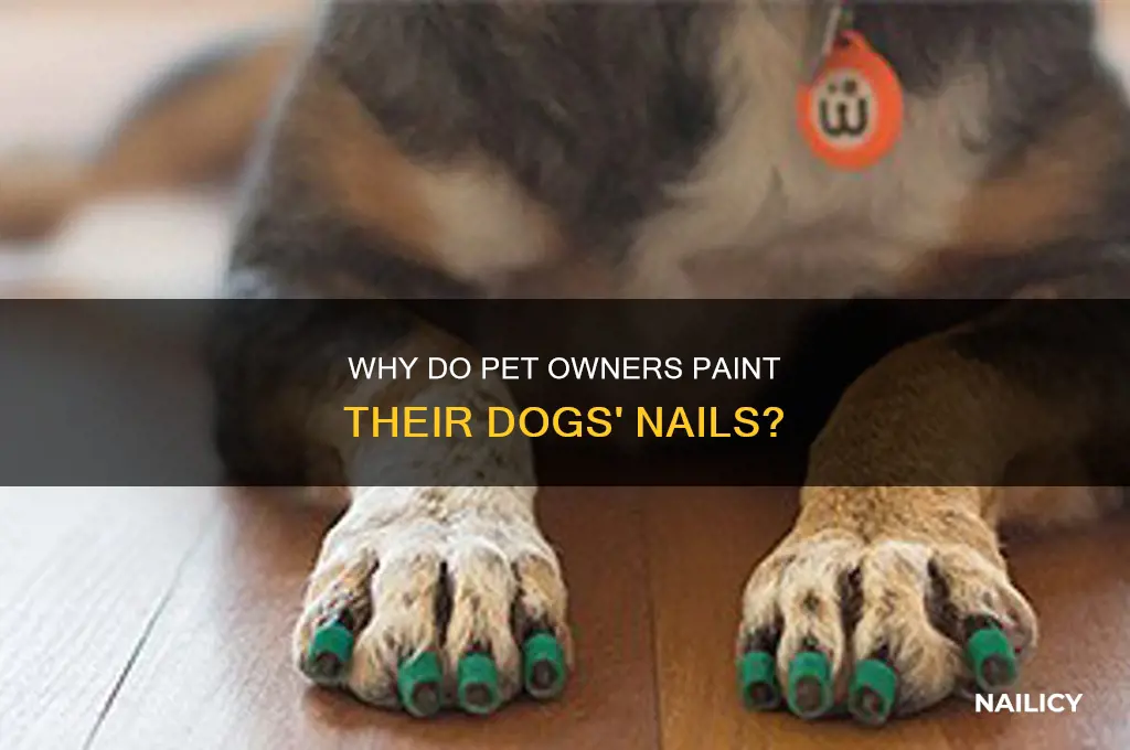 why do people put nail polish on their dogs