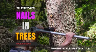 Unveiling the Mystery: Why People Hammer Nails into Trees
