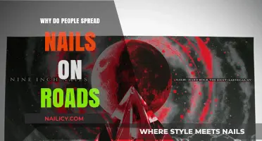 Understanding the Dangerous Motive Behind Spreading Nails on Roads