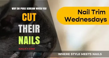 Pug's Nails: A Scream-worthy Affair