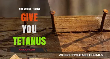 Rusty Nails and Tetanus: Debunking Myths and Understanding the Real Risk