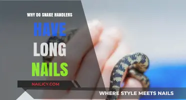 Snake Handlers' Long Nails: A Safety Feature
