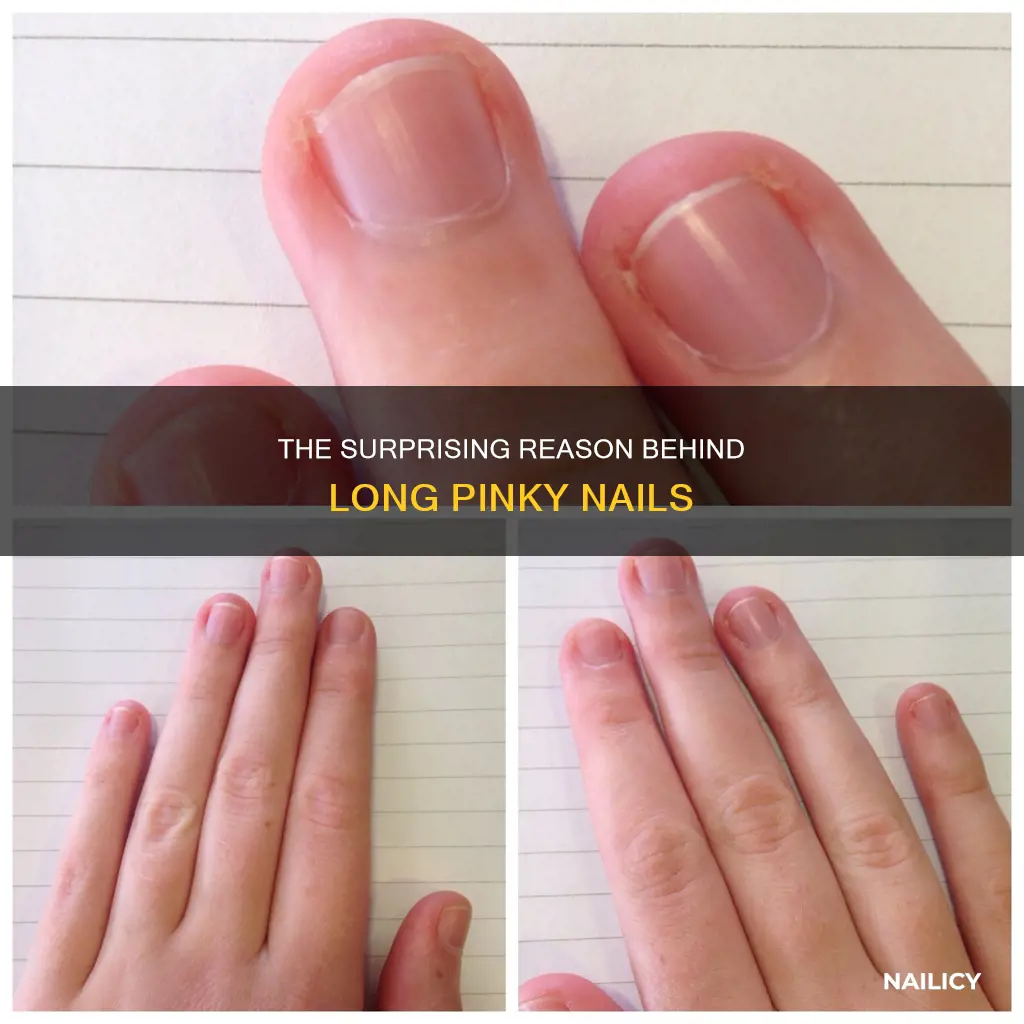 why do some peopel grow out their pinky nail