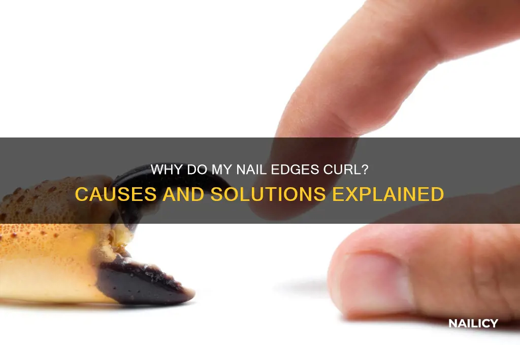 why do the edges of my nails curl
