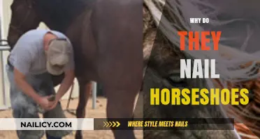 Why Do They Nail Horseshoes? Uncovering the Tradition and Purpose