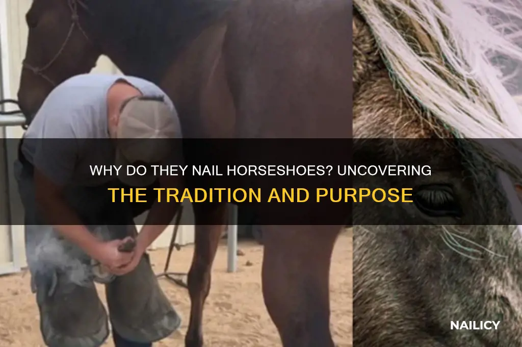 why do they nail horseshoes
