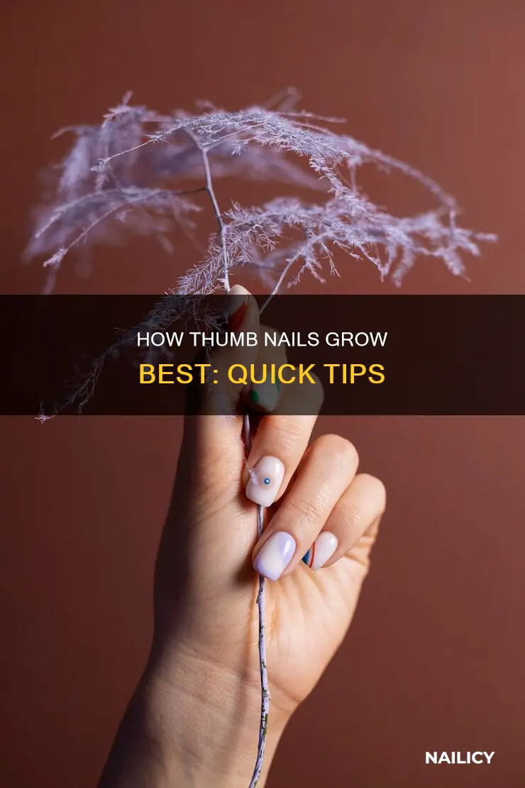 why do thumb nails grow best