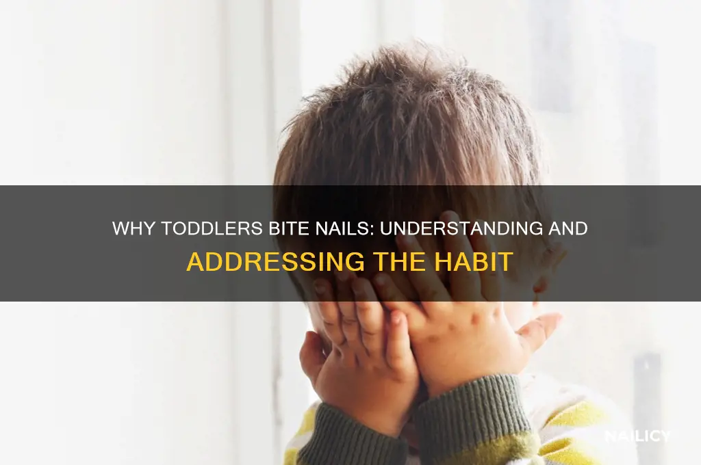 why do toddlers bite nails