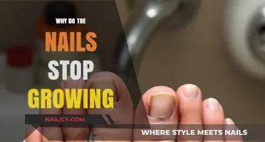 Toe Nails: When Growth Stops