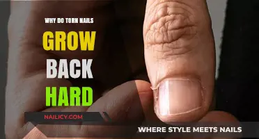 How Torn Nails Grow Back Stronger