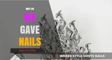 The Surprising Purpose and Evolution of Human Nails Explained