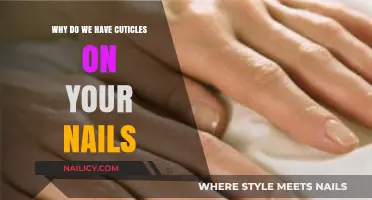 Understanding Cuticles: Their Purpose and Importance for Nail Health