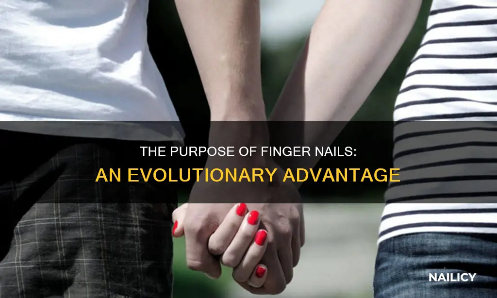 why do we have finger nails