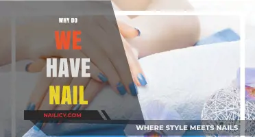 The Surprising Purpose and Evolution of Human Nails Explained