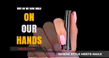 The Surprising Purpose of Hand Nails: Evolution and Function Explained