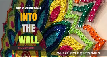Why We Nail Things to Walls: Practicality, Art, and Human Ingenuity