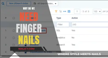 The Essential Role of Fingernails: More Than Meets the Eye
