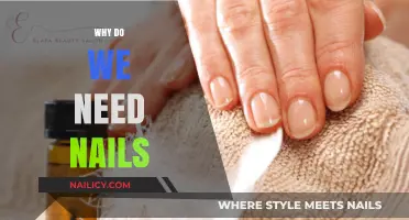 The Surprising Importance of Nails in Daily Life and Health