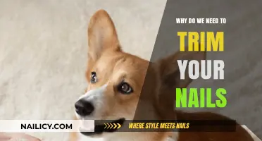 Trimming Nails: A Necessary Habit for Healthy Living