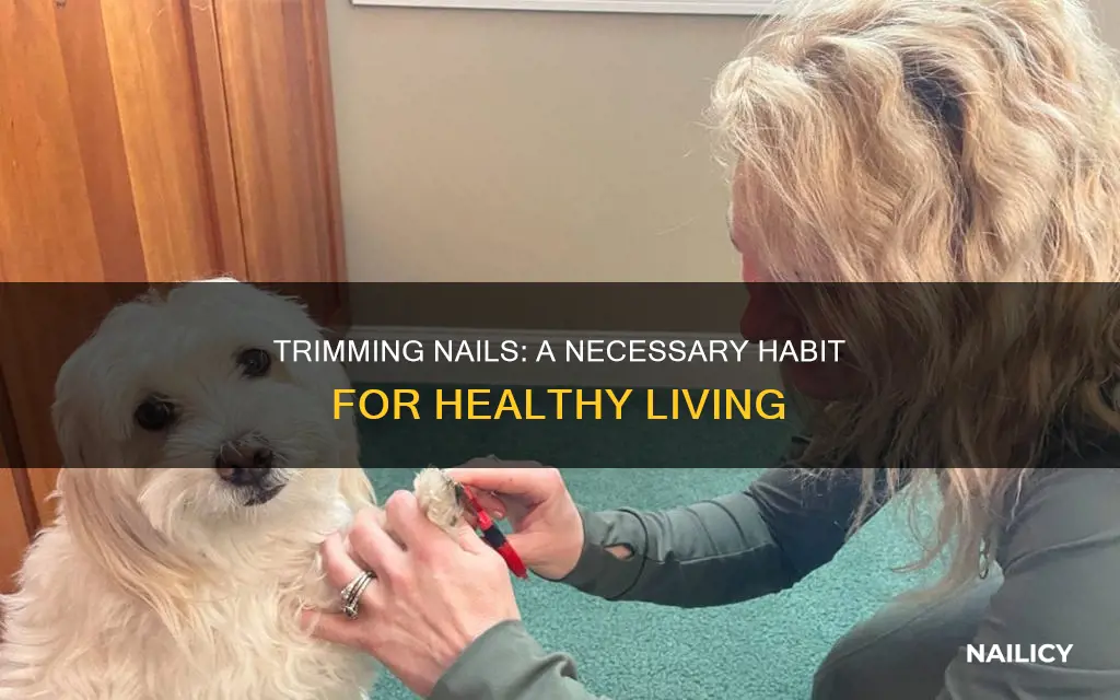 why do we need to trim your nails