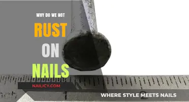 Why Nails Resist Rust: Uncovering the Science Behind Their Durability