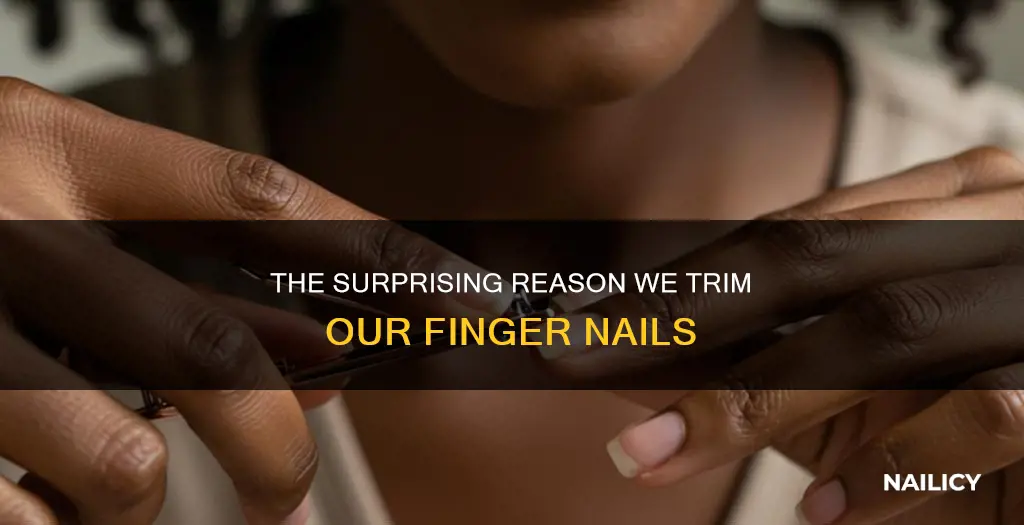 why do we trin our finger nails