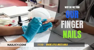 The Evolution of Nail Care: Trimming Our Finger Nails