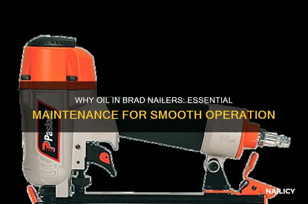 why do you put oil in brad nailer