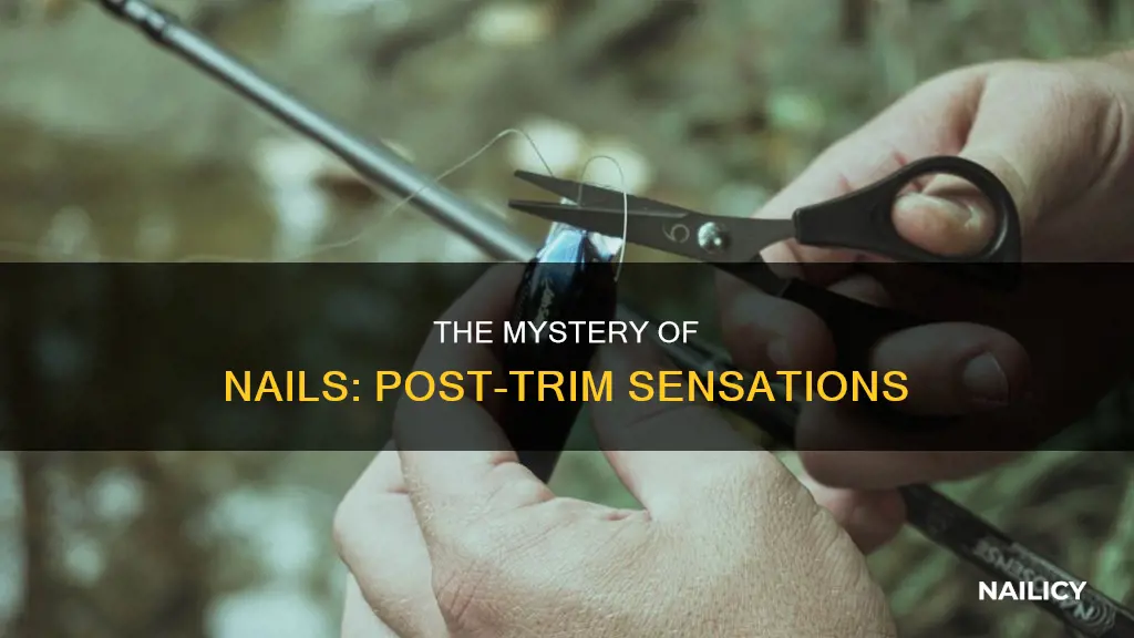 why do your nails feel weird when you cut them