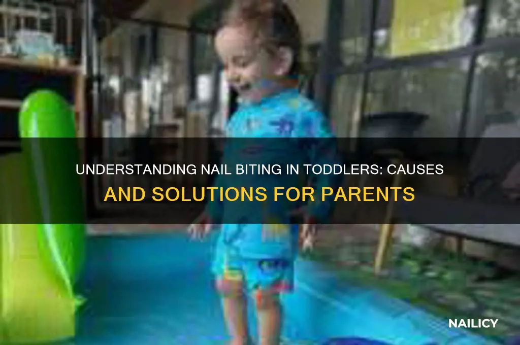 why does 4 year old bite nails