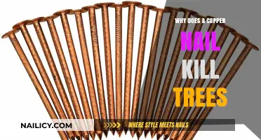 Copper Nails and Tree Death: Uncovering the Toxic Relationship