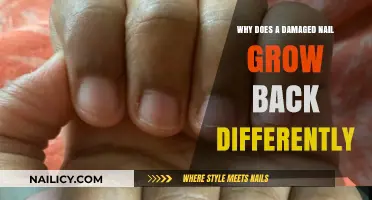 Damaged Nail Growth: Why the Difference?
