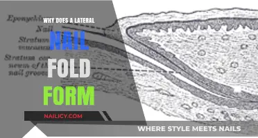 Understanding Lateral Nail Folds: Causes, Formation, and Significance Explained