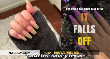How Nails Regenerate: The Science Behind Nail Growth