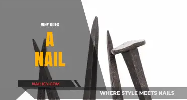 Why Does a Nail Bend, Break, or Rust? Explained