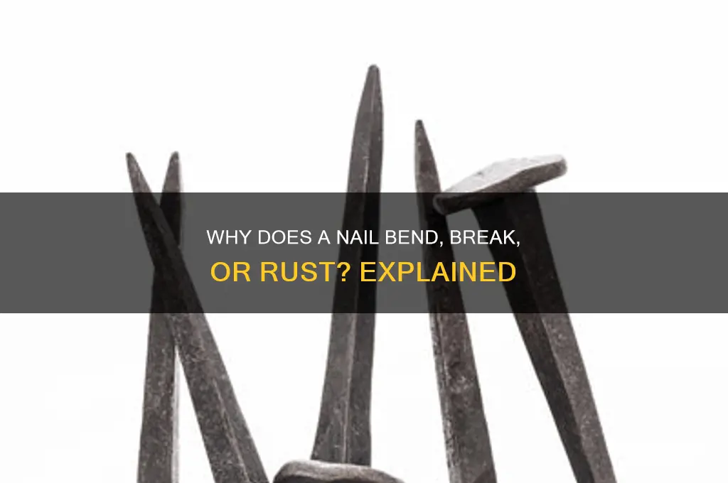 why does a nail
