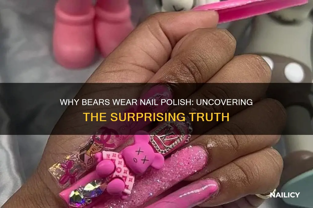 why does bear wear nail polish