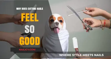 Nail Clipping: A Sensory Satisfaction Mystery
