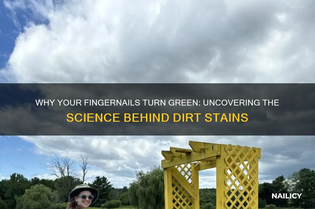 why does dirtt under nails turn green