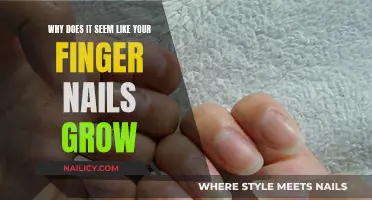 Unraveling the Mystery: Why Do Fingernails Grow?