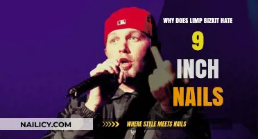 Limp Bizkit vs. 9 Inch Nails: Unraveling the Feud's Origins