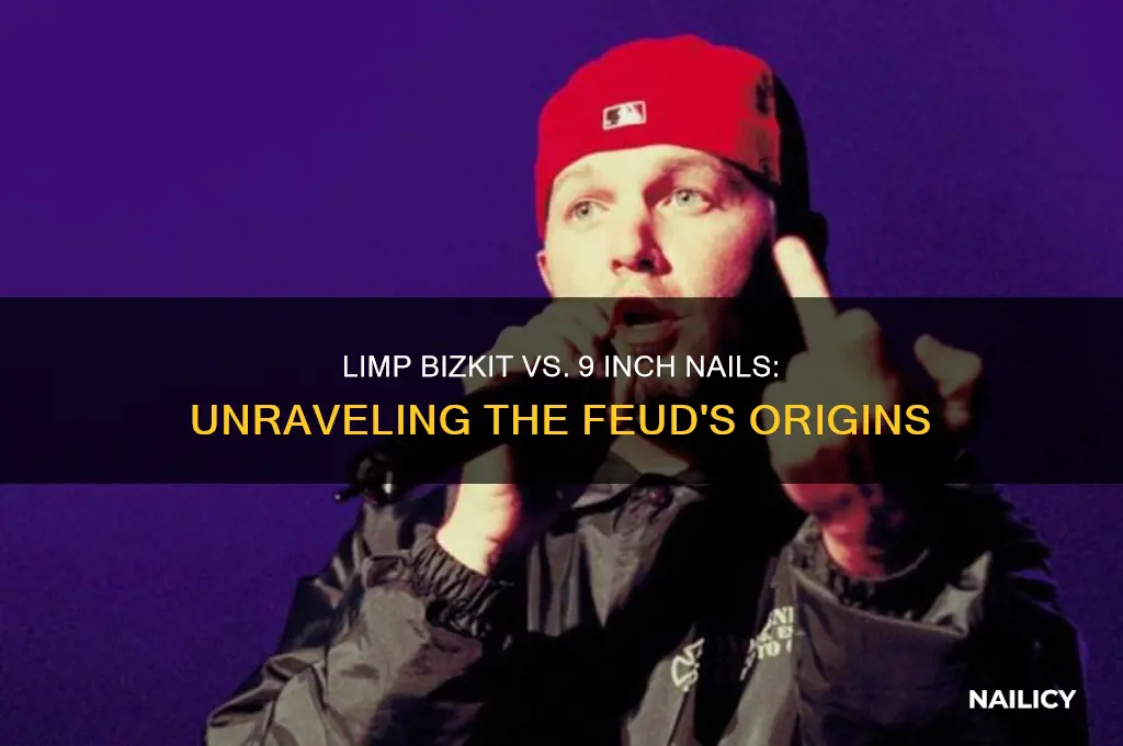why does limp bizkit hate 9 inch nails