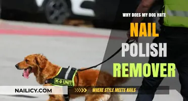 The Smell of Nail Polish Remover: Why Dogs Hate It